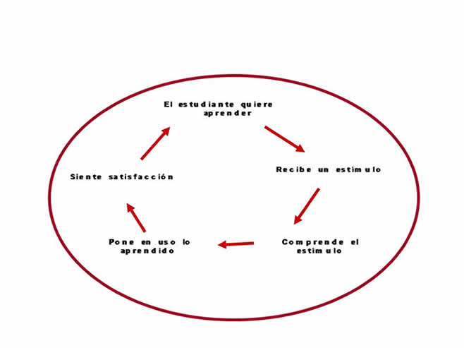 ciclo